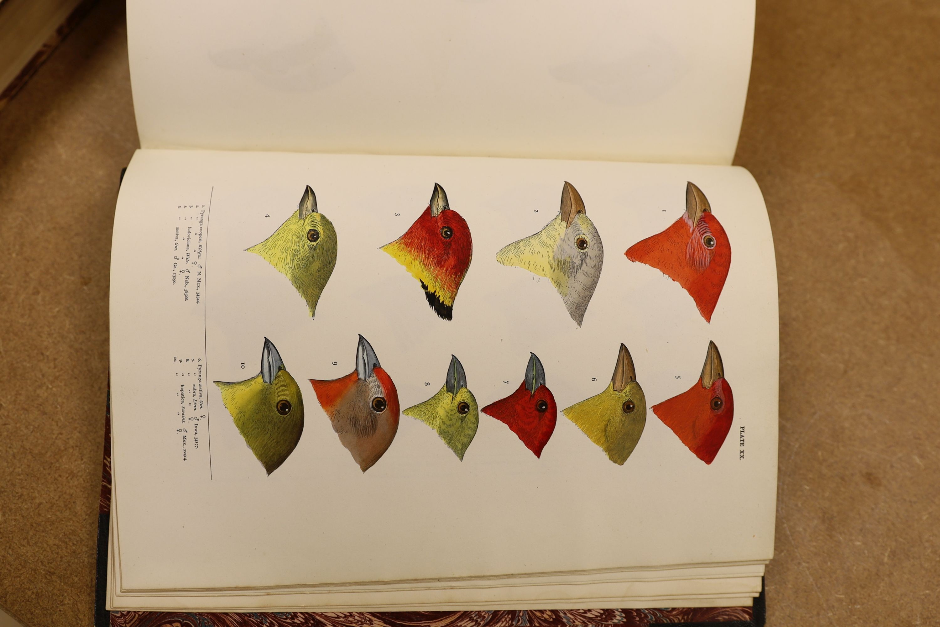 Baird, S.F. & Others - A History of North America Birds: Land Birds, 3 vols., coloured plates and other illus.; old half leather and marbled boards, gilt tops and marbled e/ps., 4to.